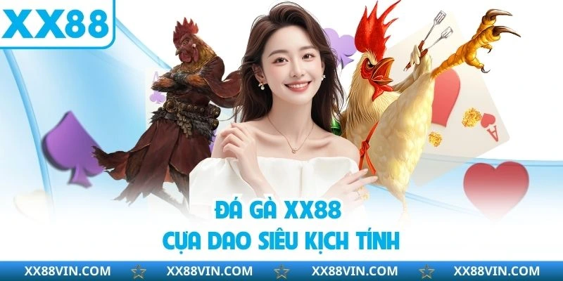 Đá Gà XX88 - Tham Gia Trận Đấu Từ 100+ Chiến Thần Hàng Đầu 4 Đá gà XX88 cựa dao siêu kịch tính