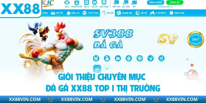 Đá Gà XX88 - Tham Gia Trận Đấu Từ 100+ Chiến Thần Hàng Đầu 1 Giới thiệu chuyên mục đá gà XX88 top 1 thị trường