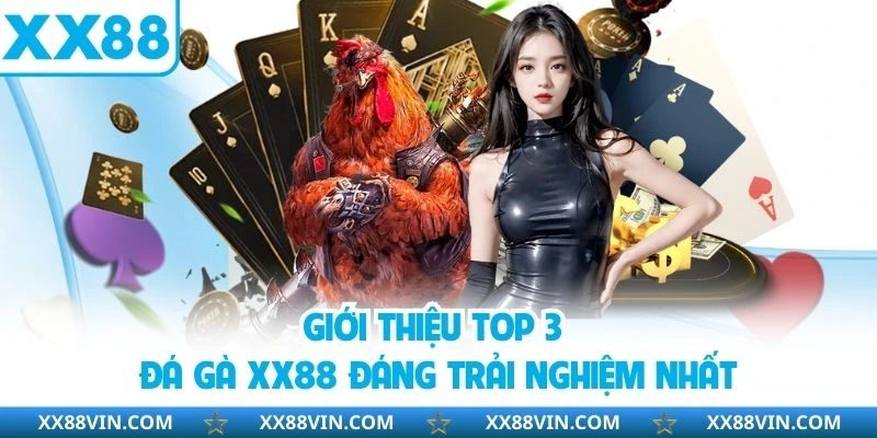 Đá Gà XX88 - Tham Gia Trận Đấu Từ 100+ Chiến Thần Hàng Đầu 3 Giới thiệu top 3 đá gà XX88 đáng trải nghiệm nhất